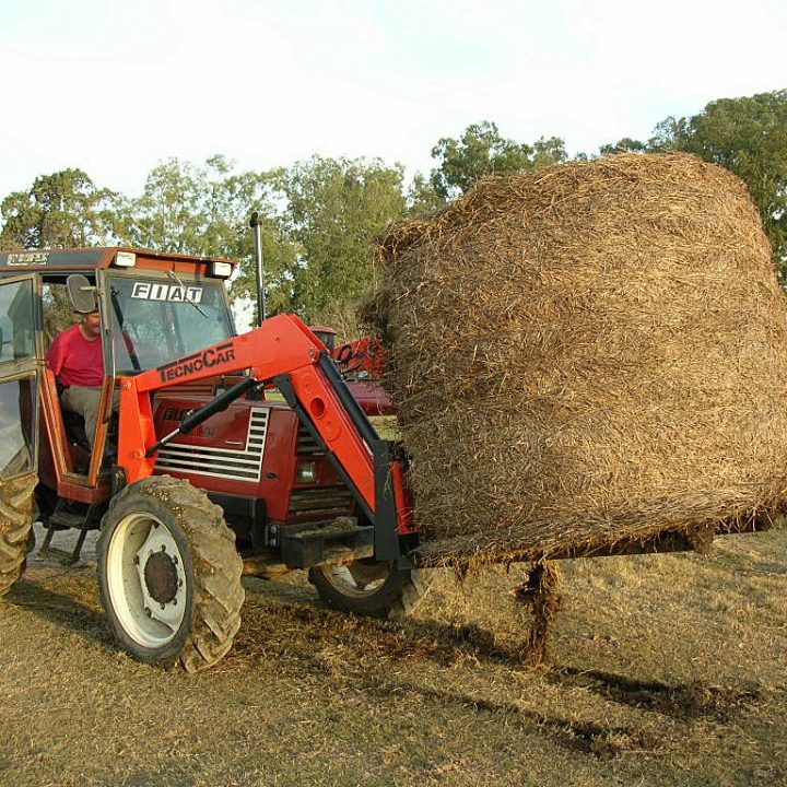 Pala forrajera PF500